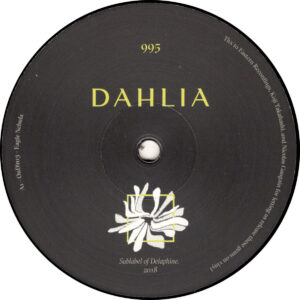OuD!n13 / Phil Baker / Palomatic - Dahlia995 - 12" (DAHLIA995)