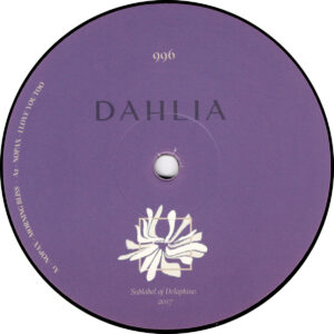 Nopax - Dahlia996 - 12" (DAHLIA996)