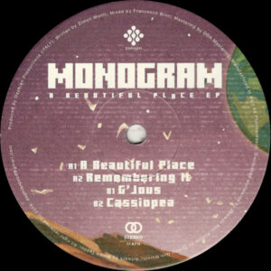 Monogram - A Beautiful Place EP - 12" (DPV004)