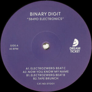 Binary Digit - 38490 Electronics - 12" (DT001)
