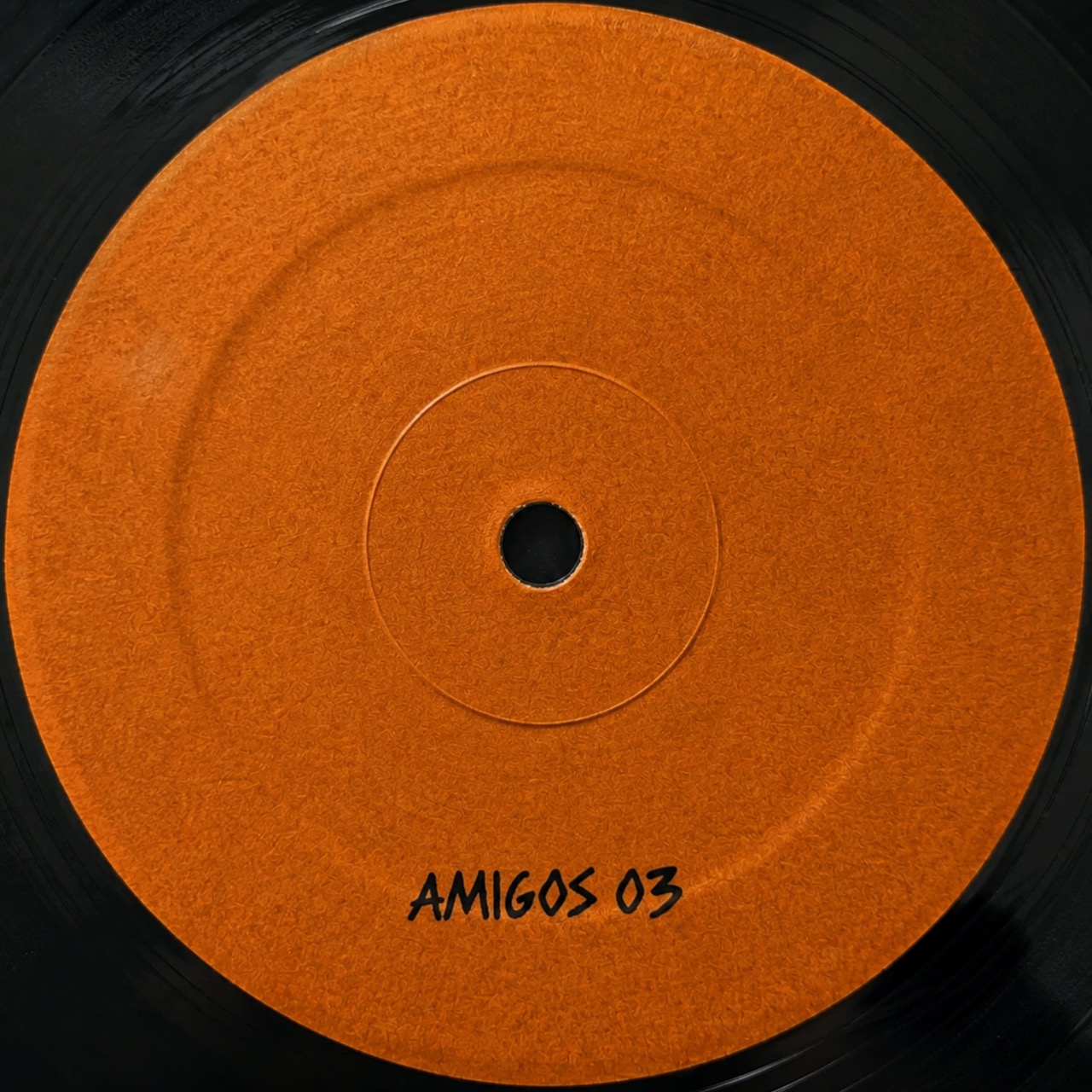 Natural Goofy / Shkedul - Terminus Jungle EP (AMIGOS03)